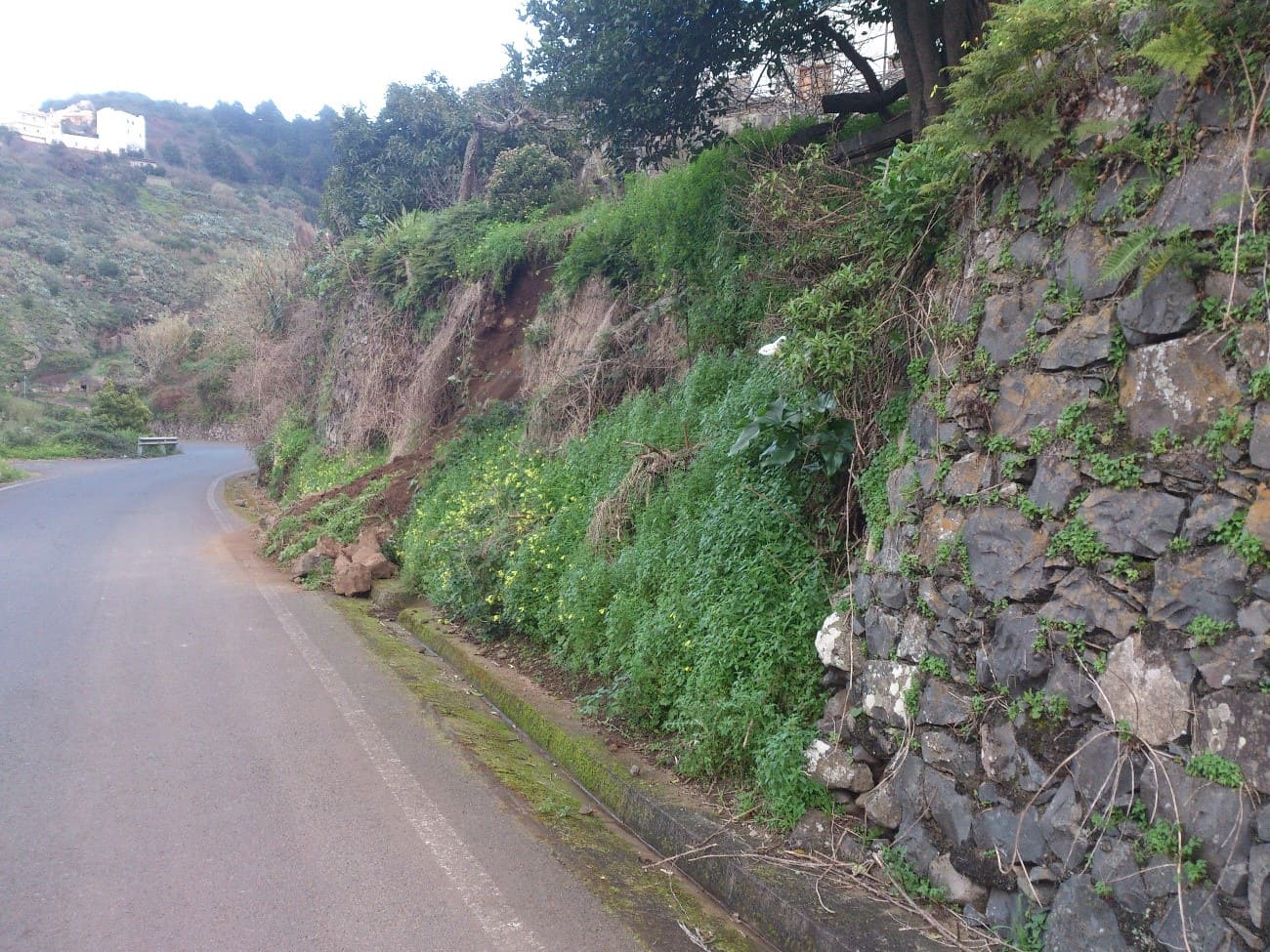 galeria ACONDICIONAMIENTO DE TALUD REESTABLECIMIENTO DE MURO EN CARRETERA